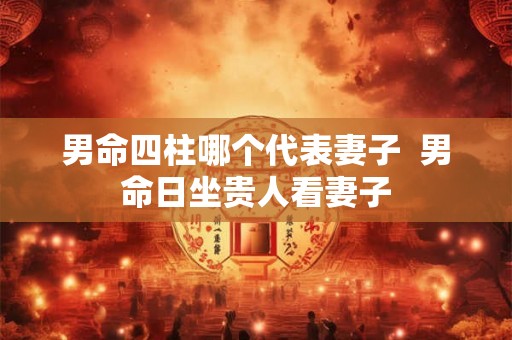 男命四柱哪个代表妻子  男命日坐贵人看妻子