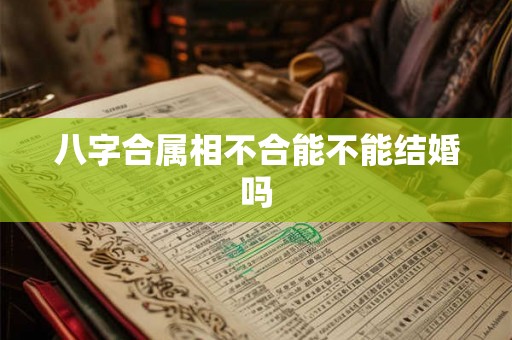 八字合属相不合能不能结婚吗