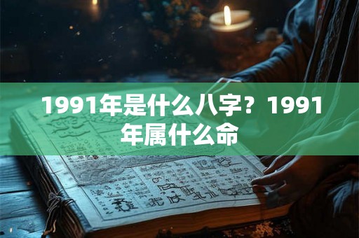 1991年是什么八字？1991年属什么命