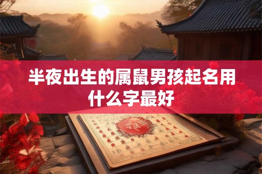 半夜出生的属鼠男孩起名用什么字最好