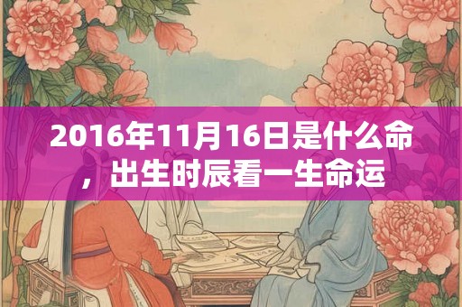 2016年11月16日是什么命,出生时辰看一生命运 2016年11月16日是什么命,出生时辰看一生命运