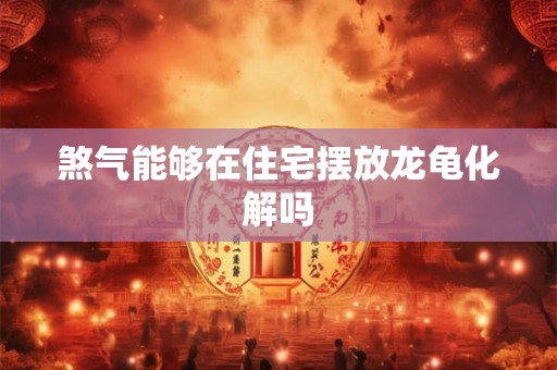 煞气能够在住宅摆放龙龟化解吗