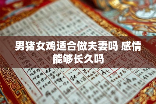 男猪女鸡适合做夫妻吗 感情能够长久吗