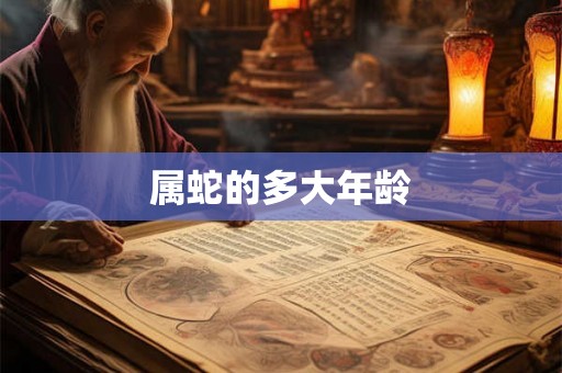 属蛇的多大年龄