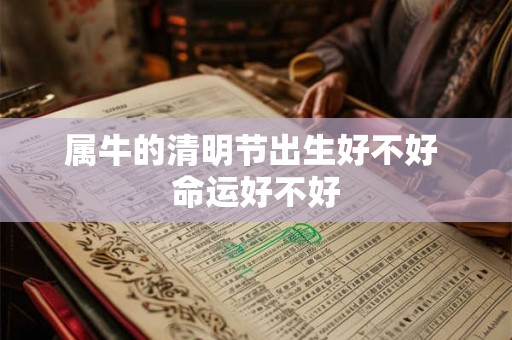 属牛的清明节出生好不好 命运好不好