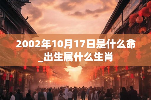 2002年10月17日是什么命_出生属什么生肖
