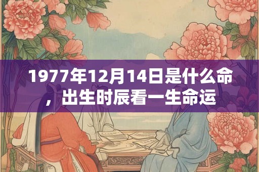 1977年12月14日是什么命，出生时辰看一生命运