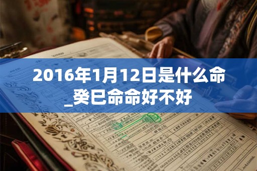 2016年1月12日是什么命_癸巳命命好不好