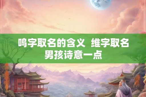 鸣字取名的含义 维字取名男孩诗意一点 鸣字取名的含义 维字取名男孩诗意一点