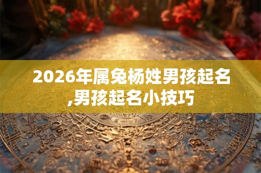 2026年属兔杨姓男孩起名,男孩起名小技巧
