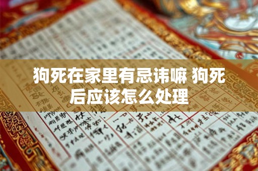 狗死在家里有忌讳嘛 狗死后应该怎么处理