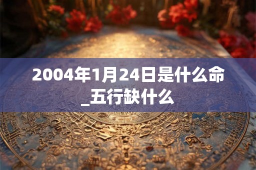 2004年1月24日是什么命_五行缺什么
