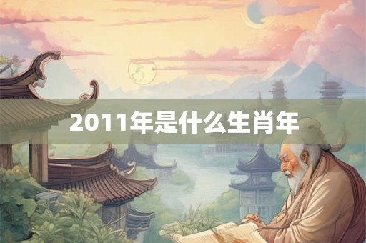 2011年是什么生肖年