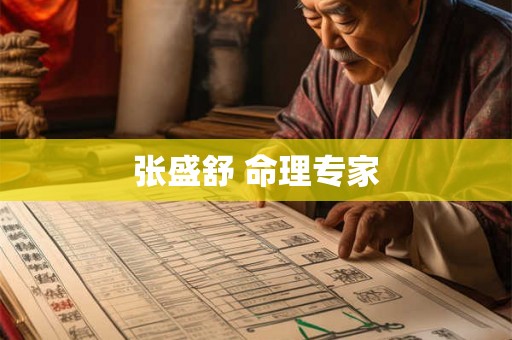 张盛舒 命理专家