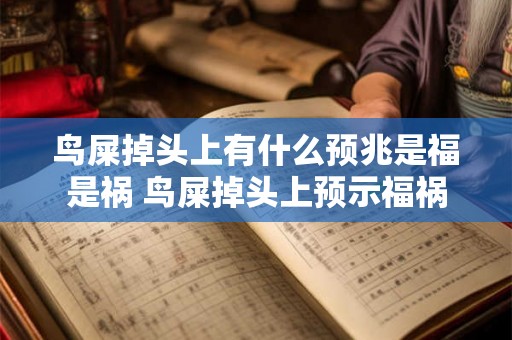 鸟屎掉头上有什么预兆是福是祸 鸟屎掉头上预示福祸