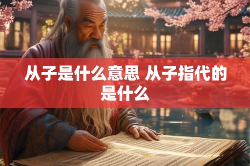 从子是什么意思 从子指代的是什么