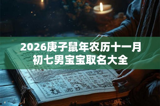 2026庚子鼠年农历十一月初七男宝宝取名大全