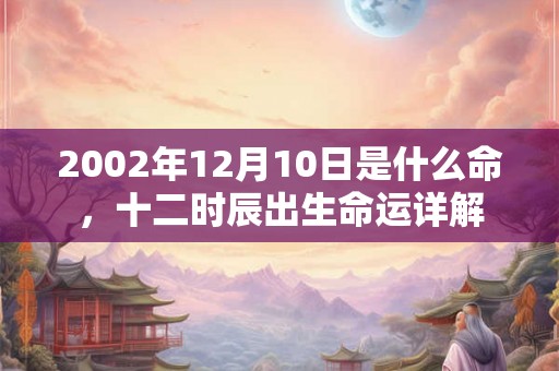 2002年12月10日是什么命，十二时辰出生命运详解