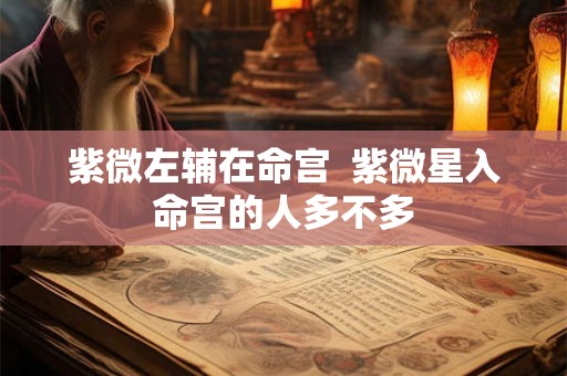 紫微左辅在命宫  紫微星入命宫的人多不多