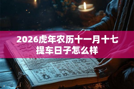 2026虎年农历十一月十七提车日子怎么样