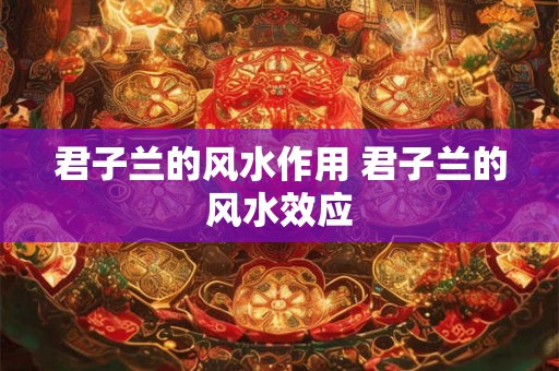 君子兰的风水作用 君子兰的风水效应