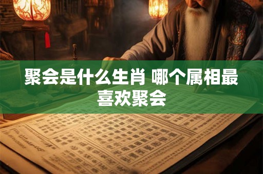 聚会是什么生肖 哪个属相最喜欢聚会