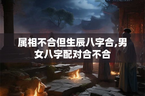 属相不合但生辰八字合,男女八字配对合不合