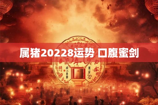 属猪20228运势 口腹蜜剑