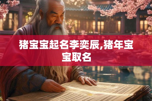 猪宝宝起名李奕辰,猪年宝宝取名