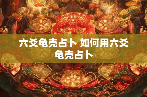 六爻龟壳占卜 如何用六爻龟壳占卜