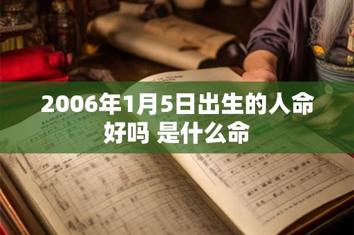 2006年1月5日出生的人命好吗 是什么命