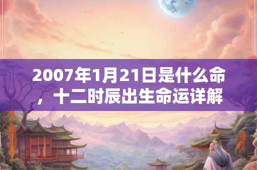 2007年1月21日是什么命，十二时辰出生命运详解
