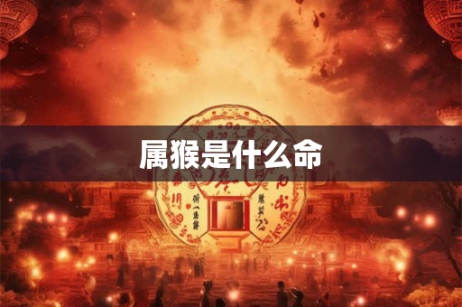 属猴是什么命