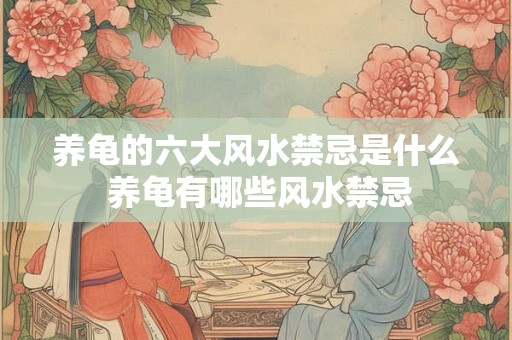 养龟的六大风水禁忌是什么 养龟有哪些风水禁忌