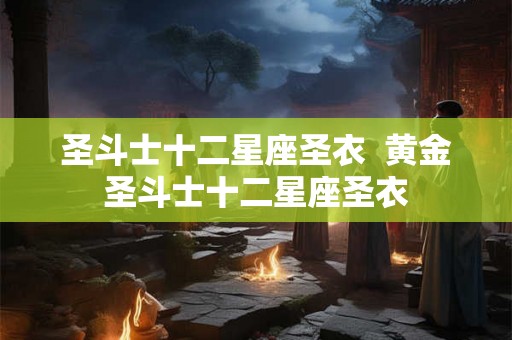 圣斗士十二星座圣衣  黄金圣斗士十二星座圣衣