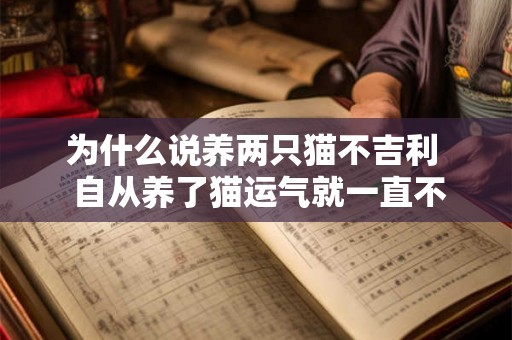为什么说养两只猫不吉利 自从养了猫运气就一直不好 为什么说养两只猫不吉利 自从养了猫运气就一直不好