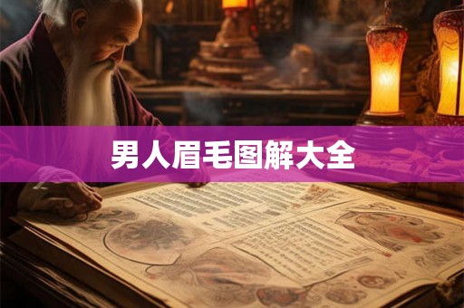 男人眉毛图解大全