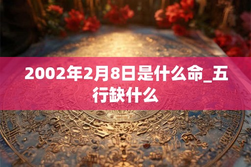 2002年2月8日是什么命_五行缺什么