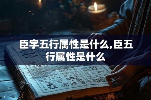 臣字五行属性是什么,臣五行属性是什么