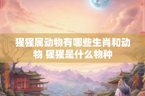 猩猩属动物有哪些生肖和动物 猩猩是什么物种
