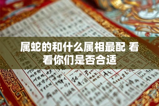 属蛇的和什么属相最配 看看你们是否合适