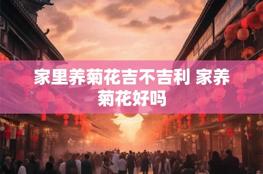 家里养菊花吉不吉利 家养菊花好吗