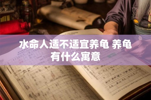 水命人适不适宜养龟 养龟有什么寓意