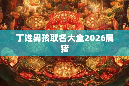 丁姓男孩取名大全2026属猪