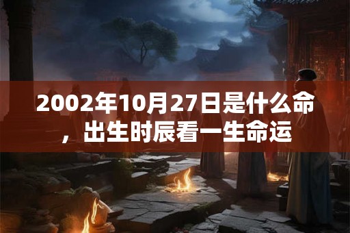 2002年10月27日是什么命，出生时辰看一生命运