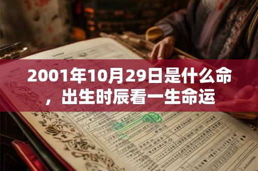 2001年10月29日是什么命，出生时辰看一生命运