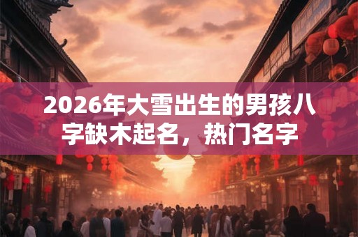 2026年大雪出生的男孩八字缺木起名，热门名字