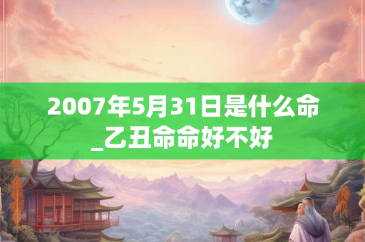 2007年5月31日是什么命_乙丑命命好不好