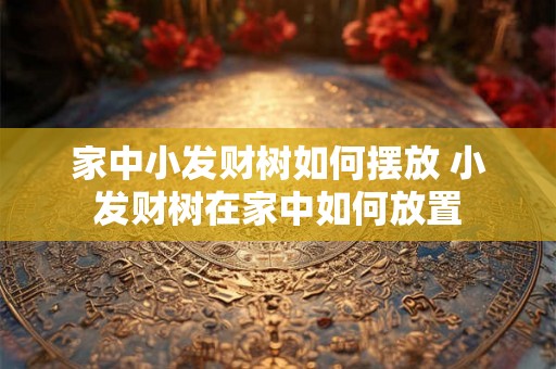 家中小发财树如何摆放 小发财树在家中如何放置 家中小发财树如何摆放 小发财树在家中如何放置