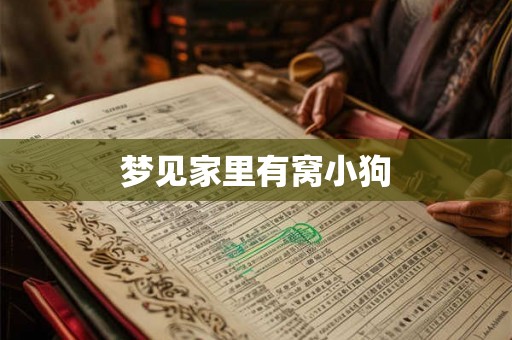梦见家里有窝小狗